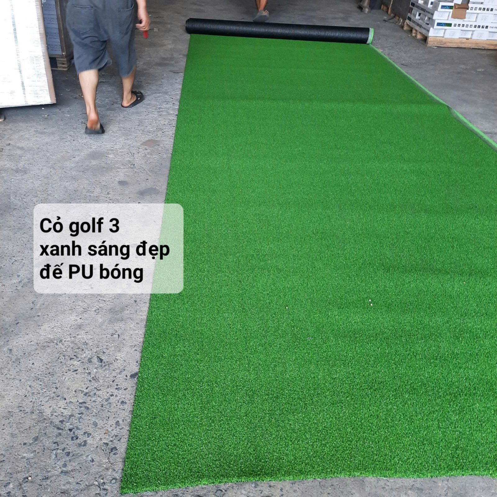 THẢM CỎ GOLF BH2