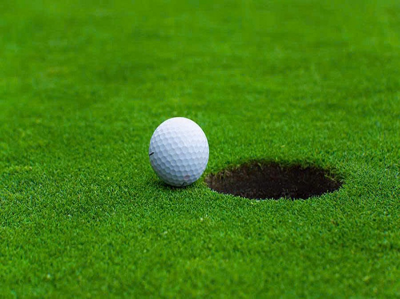 Cỏ nhan tạo sân golf BH1