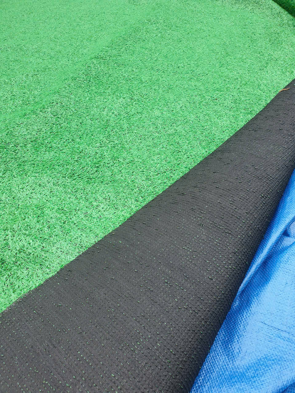 Thảm cỏ BH 15